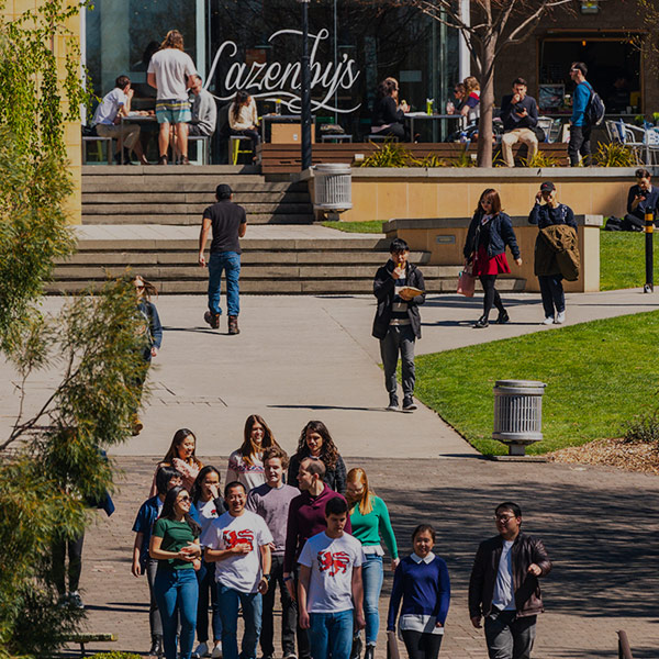 University of Tasmania